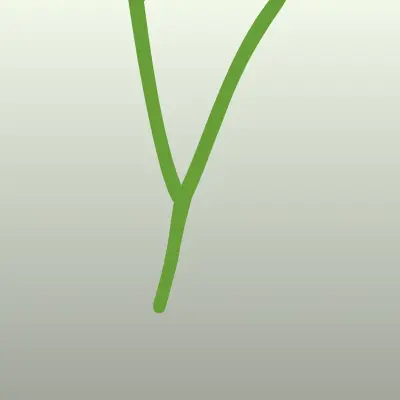 Юнга